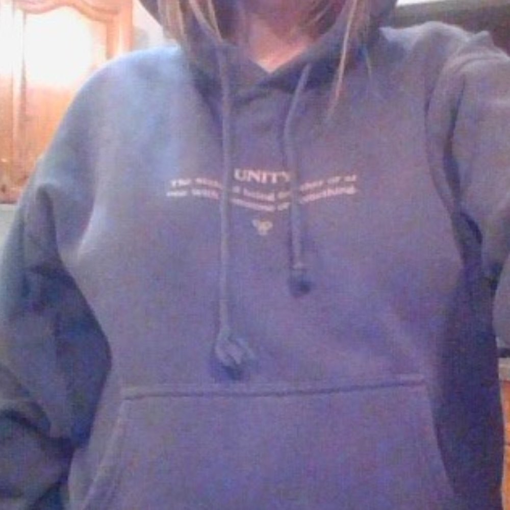 TNA ARITZIA UNITY HOODIE size #2